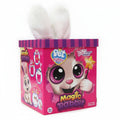 Magic Rabbit Toy